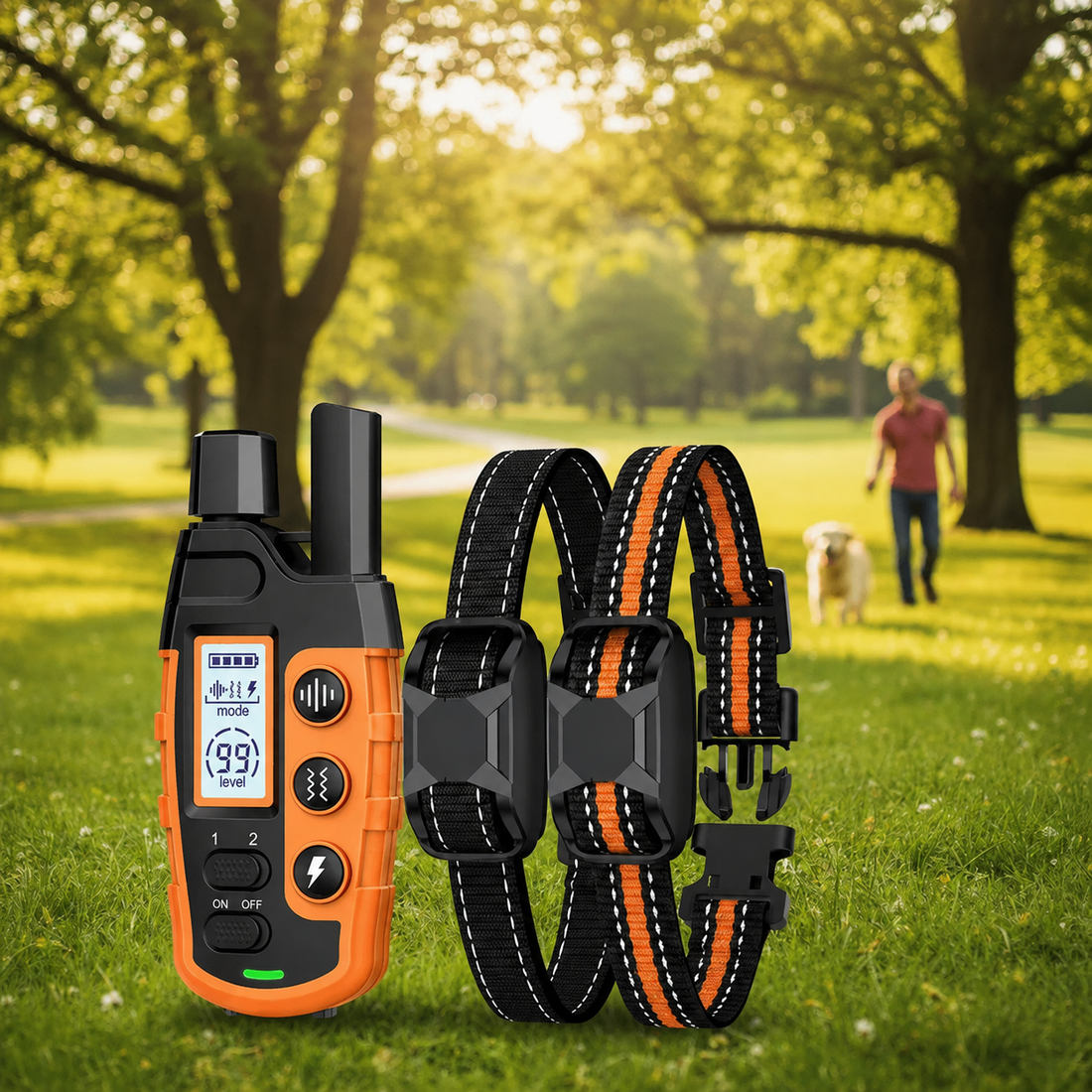 A pet training remote control and two matching collar tags displayed in front of a blurred park scene with trees and a person walking a dog.