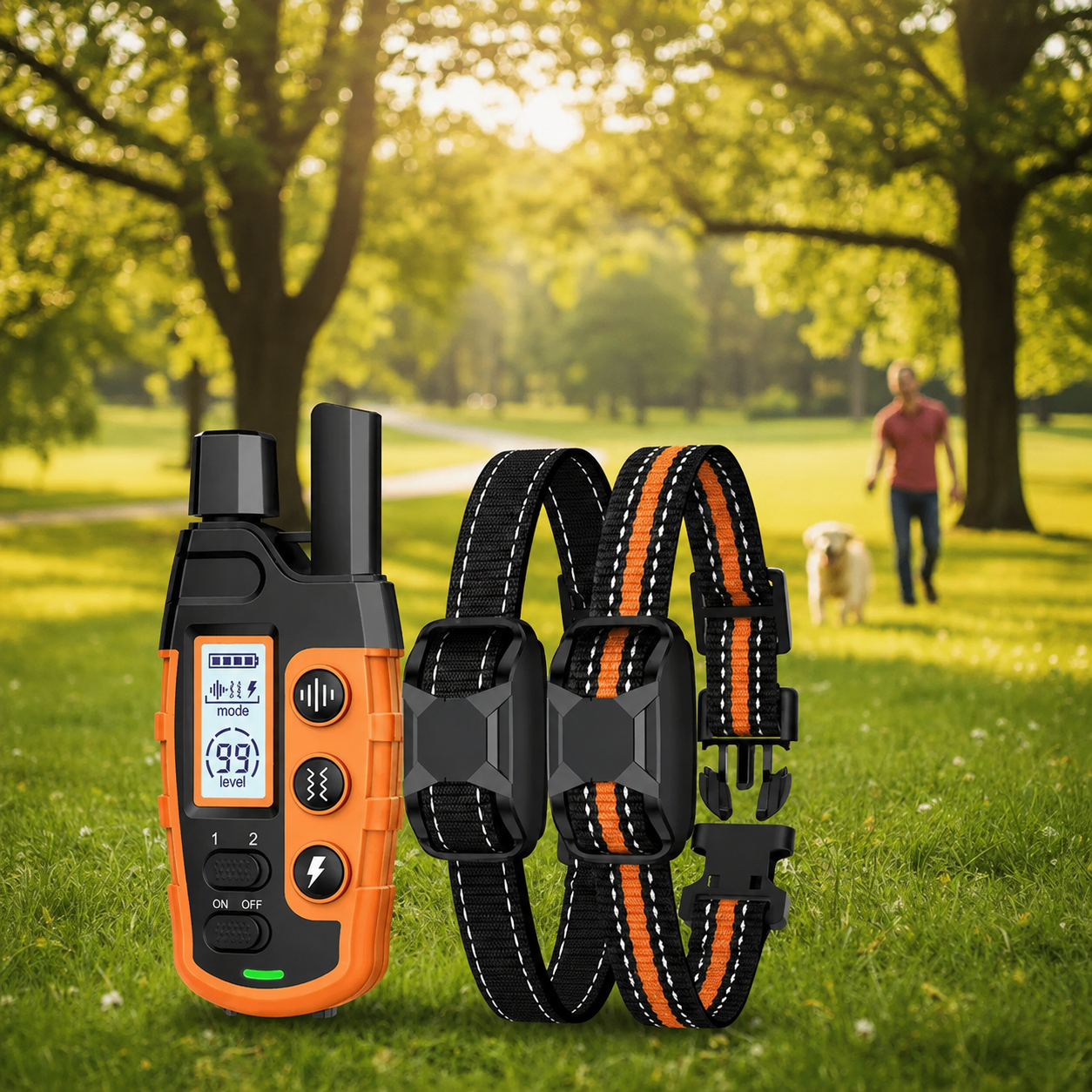 A pet training remote control and two matching collar tags displayed in front of a blurred park scene with trees and a person walking a dog.