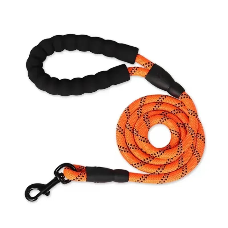 Orange dog leash with black pattern and black clip on a white background