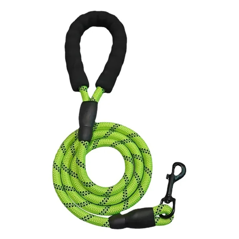 Green dog leash with black handle and clip on a white background