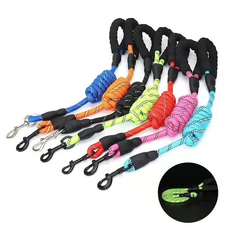 Set of colorful dog leashes with black handles on a white background