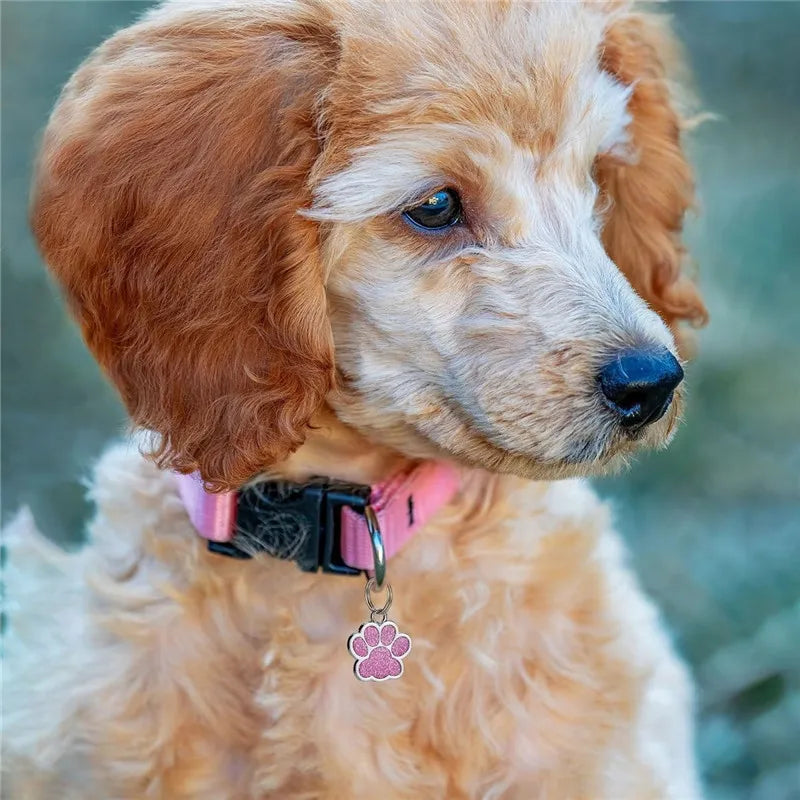 Personalized Engraved Dog Cat ID Tag Paw Glitter Collar Pendant
