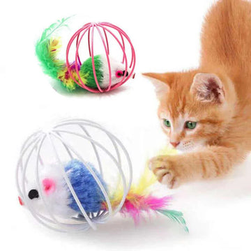 Colourful Mouse in Cage Cat Toy Within Sand Interactive Chase Cat Mouse Toy