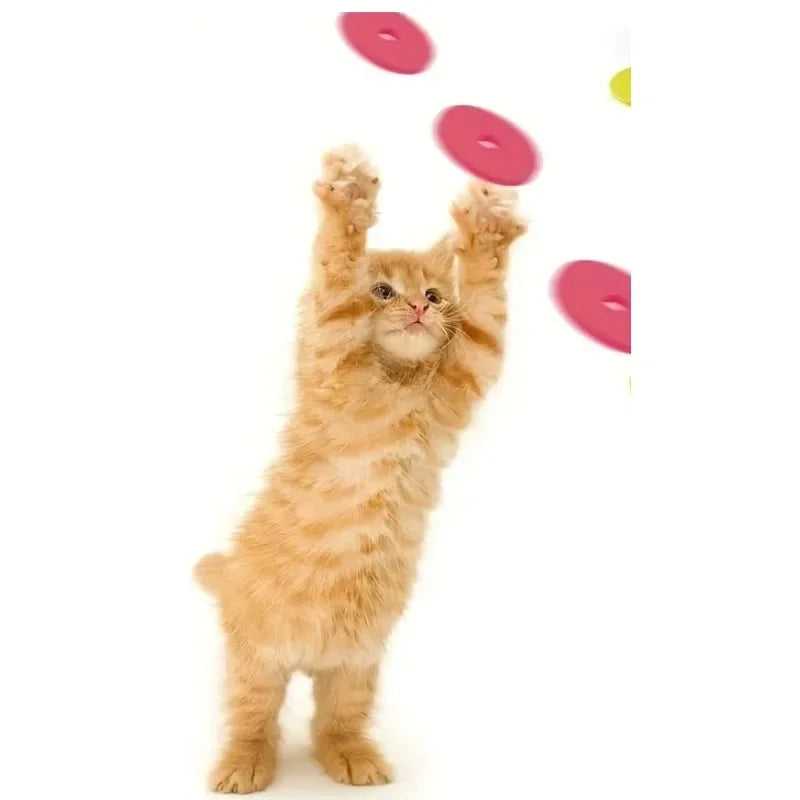 Funny Cat Toys Creative Turnip Gun with 15pcs Reusable Foam Frisbee