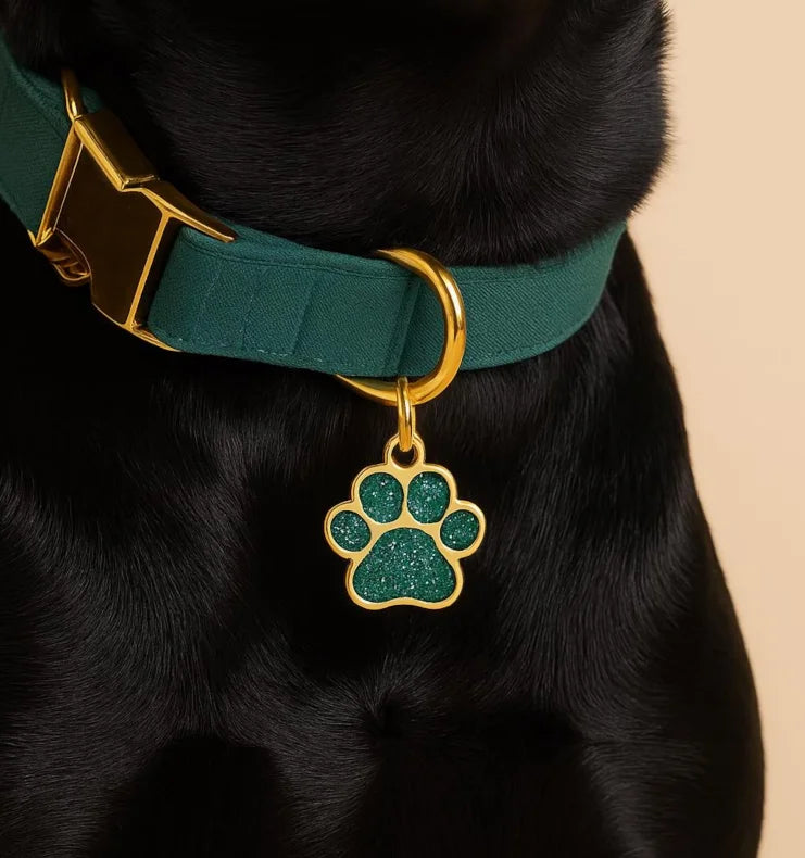 Personalized Engraved Dog Cat ID Tag Paw Glitter Collar Pendant