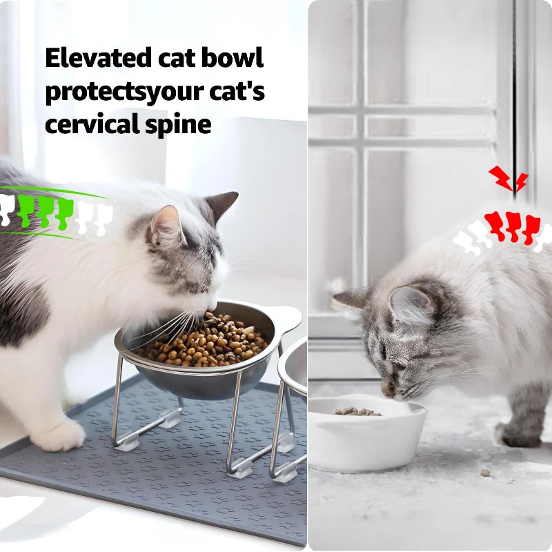 Stainless Steel Raised Cat Bowl with 15° Elevated Design Tilted Neck Guard Healthy Feeding
