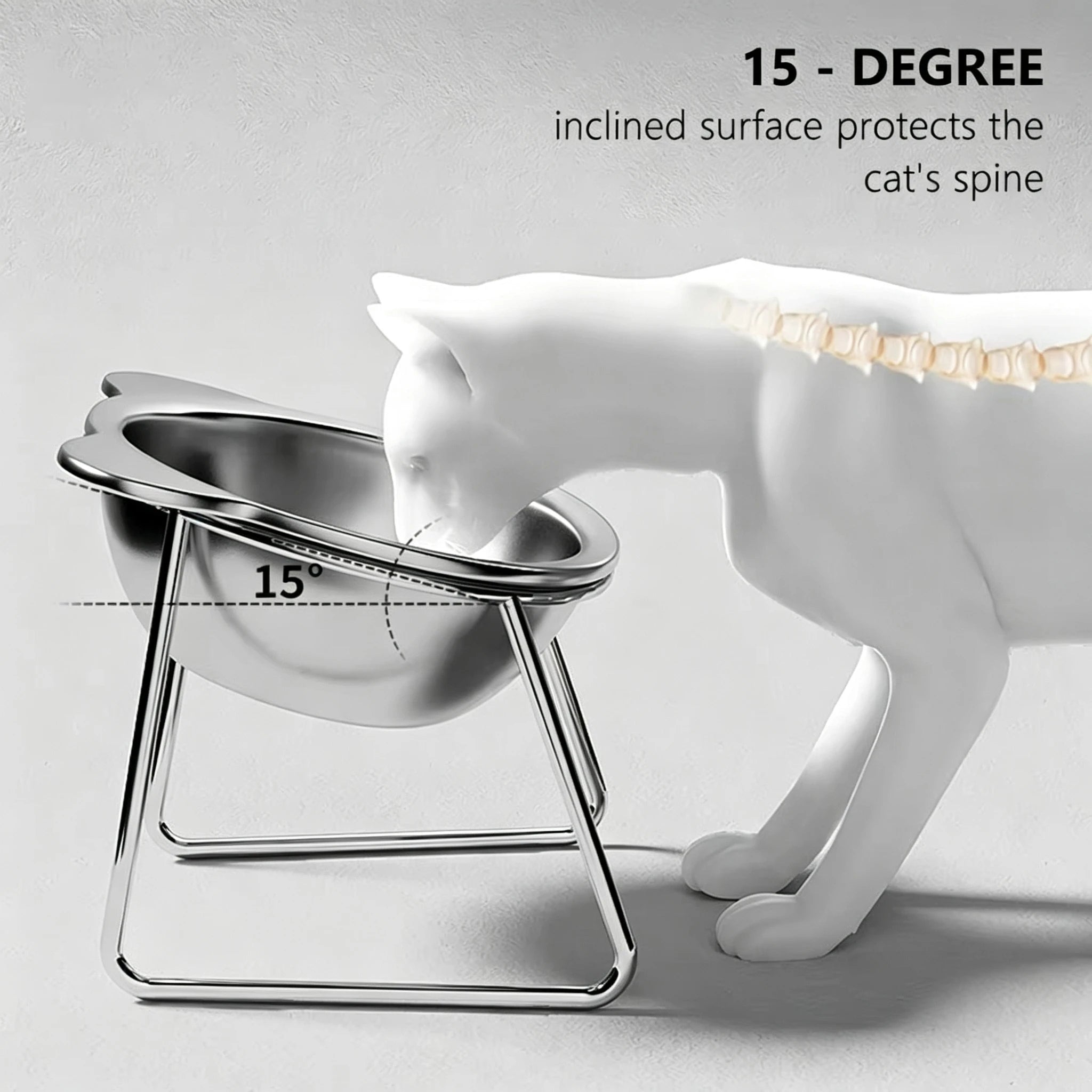 Stainless Steel Raised Cat Bowl with 15° Elevated Design Tilted Neck Guard Healthy Feeding