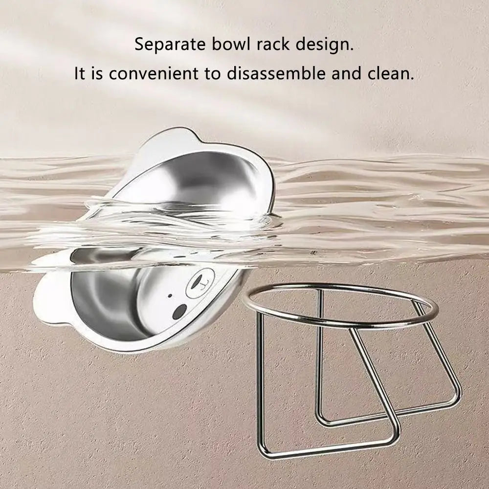 Stainless Steel Raised Cat Bowl with 15° Elevated Design Tilted Neck Guard Healthy Feeding